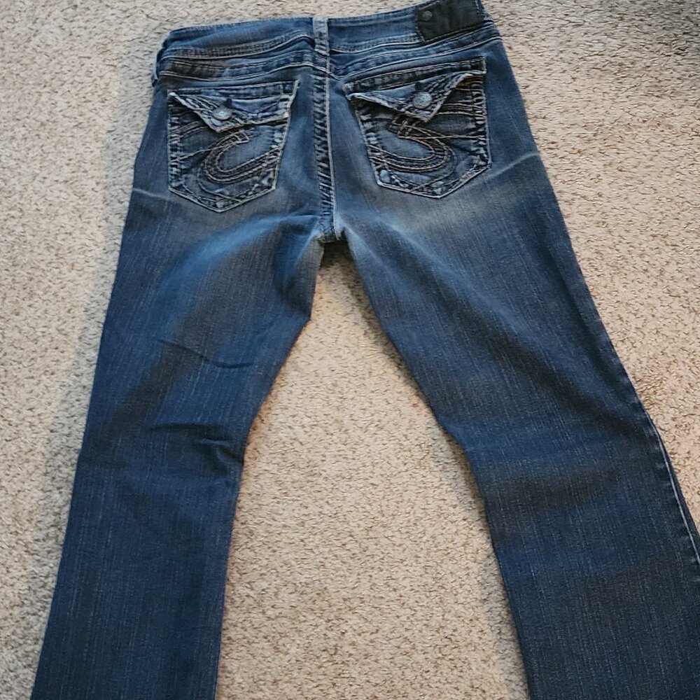 Silver Suki Surplus - image 1